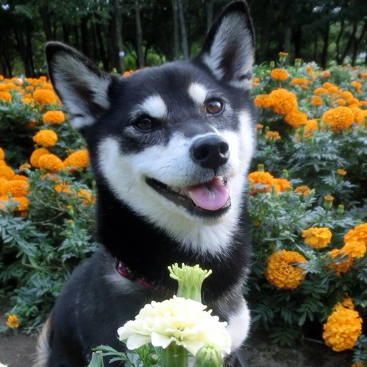 76ab7418 66c2 4cc0 be99 39d2b39f208a 1507934018866