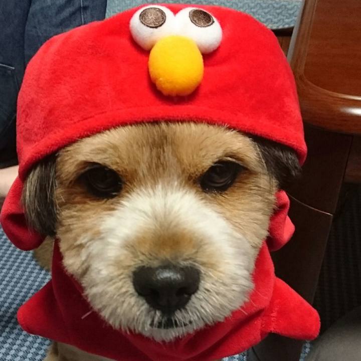 76ab9cba 5f90 40aa 8598 a4db19bb32d8 1529842066907