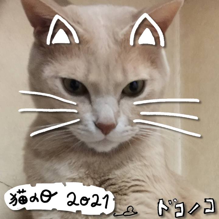 76aba96d 11d5 46ab 9c4d 446be64222f9 1613990044857