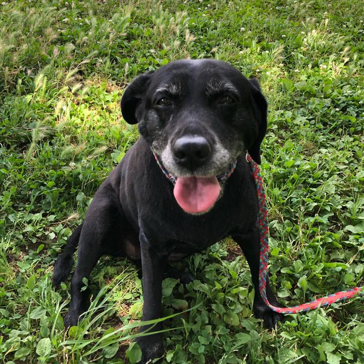 76aba98c da03 4e55 9cf2 d6a88ed9f1e5 1591838838661