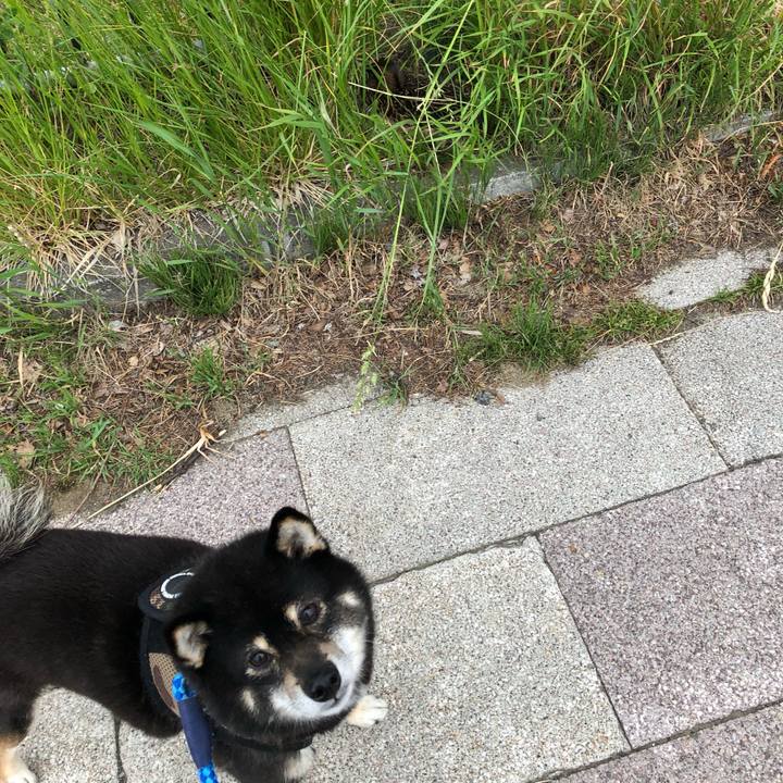 76abb6ea 01e4 47e6 8432 d812f6e0e31a 1559605701422