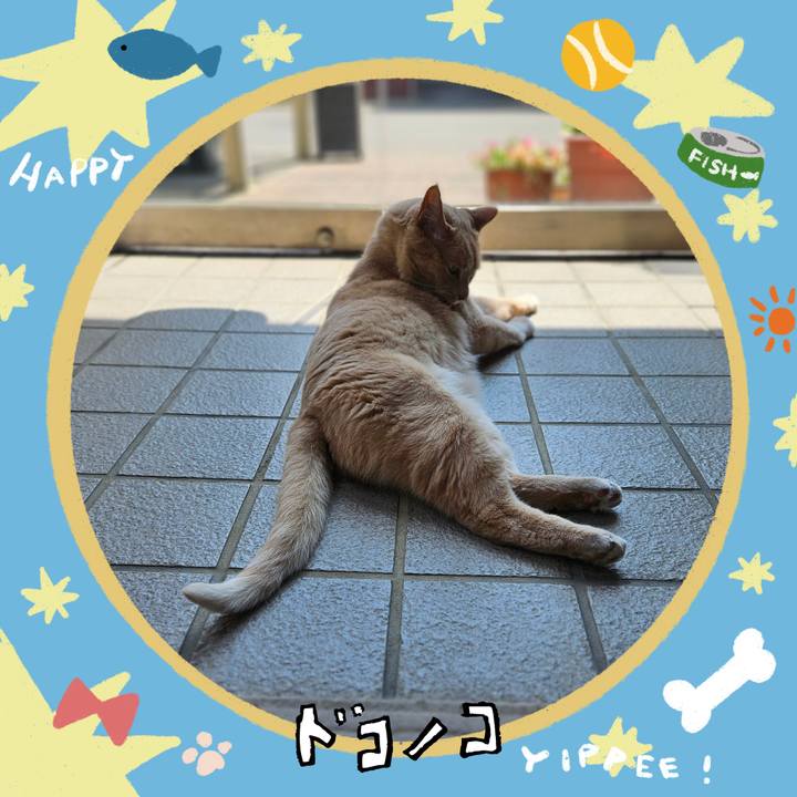 76abb939 269f 4783 95f5 779d5ded0edb 1720922797089