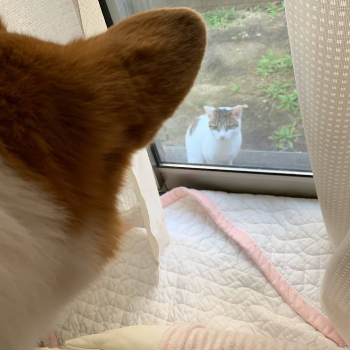 76abbd17 aabc 4392 839b 32c9b653fb95 1573786968025