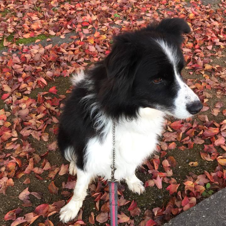 76abcebc c5ef 4282 9f13 dc19d39e3983 1574983109341