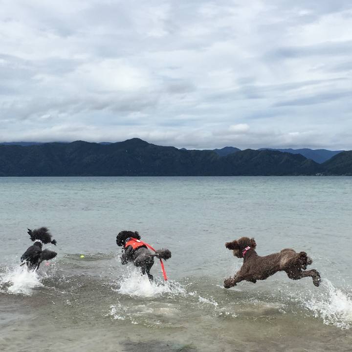 76abed47 277c 48a4 8141 c751e45c9b62 1533094251002