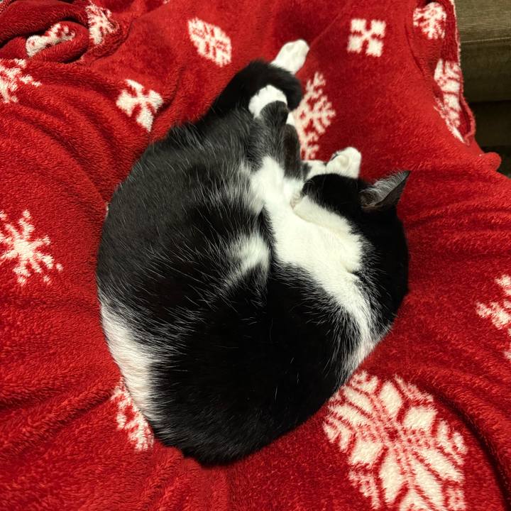 76abfea7 e222 43a3 808c fde1879dfd2a 1769339115578