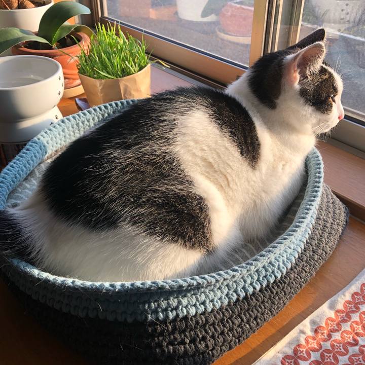 76ac34c2 d1f6 4390 becd d432c85fa00e 1714253414489