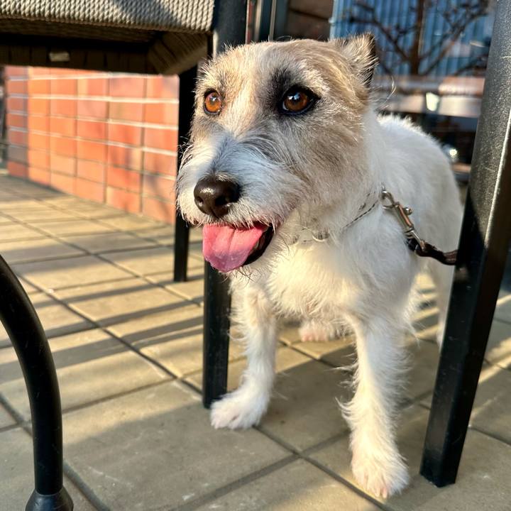 76ac514b 4b08 41c0 8376 f4816bb5d598 1744492448549