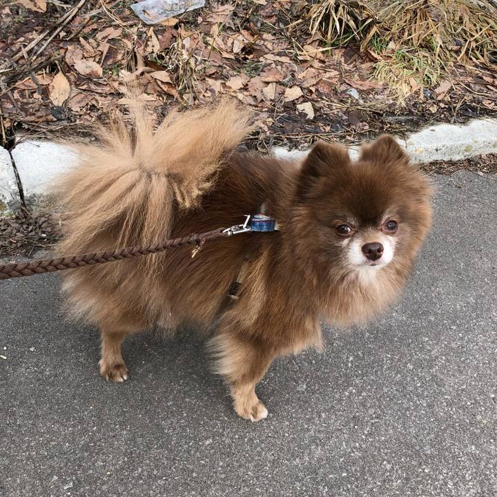 76ac904b 85bd 40e8 9dd4 41ca01b3b041 1551147698654