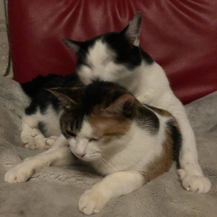 76ac958f f07e 46b7 b158 910624b81eaf 1609344519157