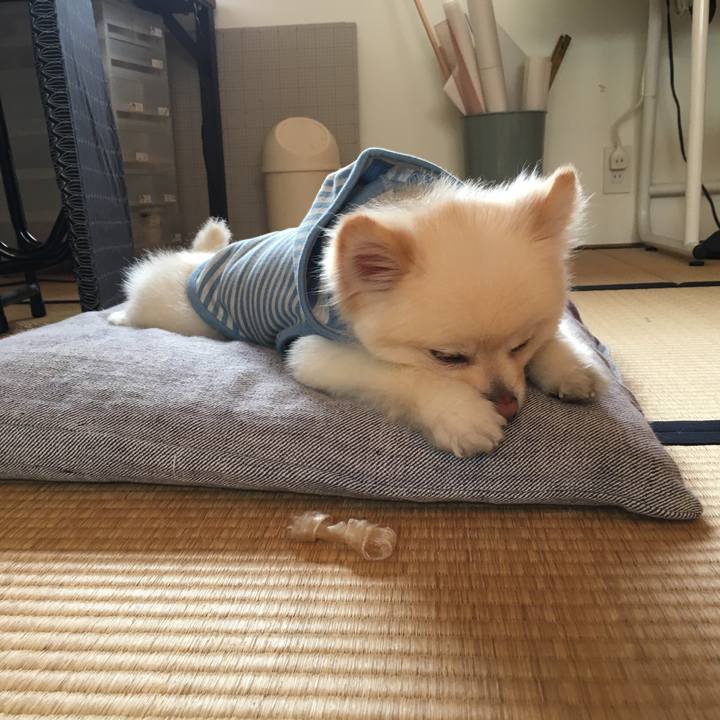 76acd705 35e6 46f8 8f1c 83a04cf0d5cd 1556453457531