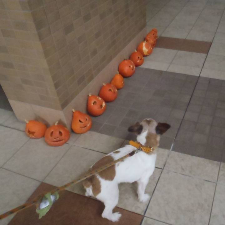 76ace7af 23a4 4d4d ba64 3c7396aa893a 1541270179805