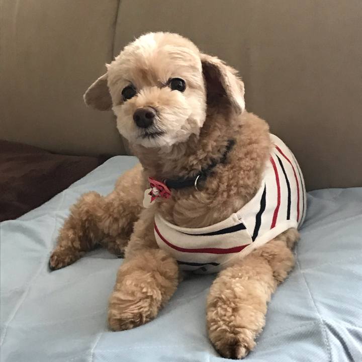 76ad7e50 f1d2 4fab 9558 f3fda677a4cc 1556537851842