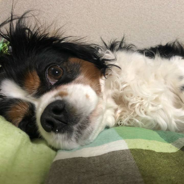 76ad9513 f011 4729 8d01 9782b15923fc 1549599146747