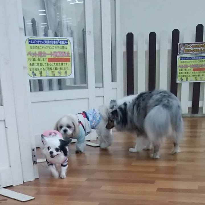 76ad9a0a 6716 49e6 bc45 cbacfb640e06 1520081694203