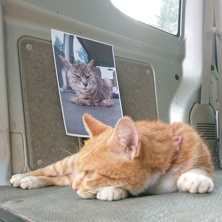 76ada1b6 7f1e 4dae 9c20 950fb177bb7c 1600670500397