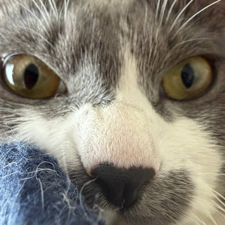 76ada20f 2e49 40ed 98e5 b338f9ece0ee 1763339184881