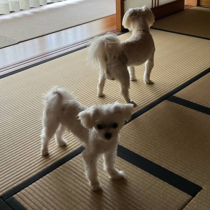 76adb77e e737 4b8a 8559 3cc21a8bc628 1717058220756