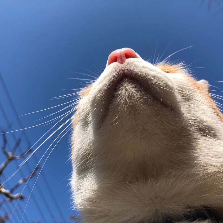 76adc426 e67d 47e2 a345 a010bed2f555 1549962683493