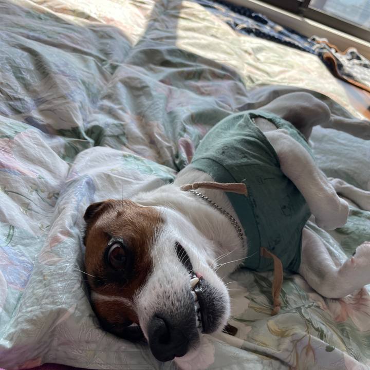 76adcf8e eec7 4395 8682 bb985a7d66f8 1651879262061