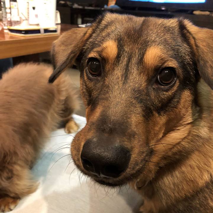 76ae09fe 513b 4b32 b166 76efe67514c4 1701783461683