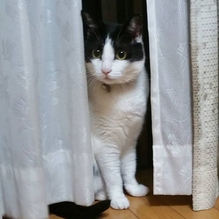 76ae1b63 20c3 45d0 b2d5 af7aa451084d 1569759045812