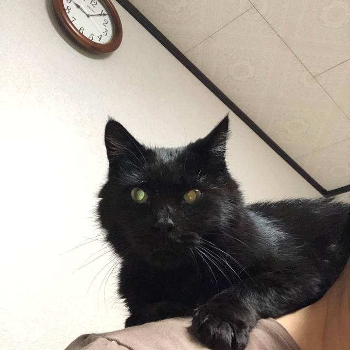 76ae2236 dd24 4dd1 a44b 90f2124e955c 1605442175292