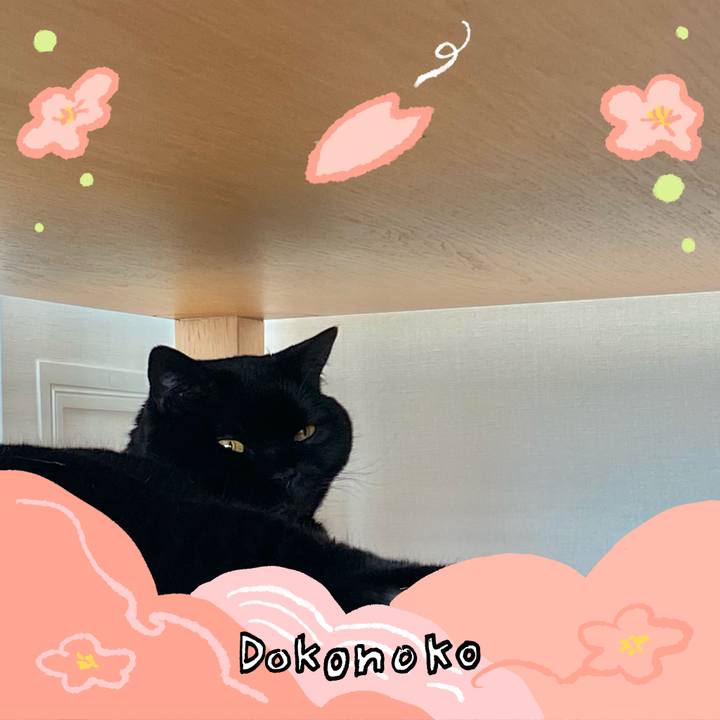 76ae24a5 ac27 47bd 8ff0 e19fa7e2e2a6 1775191380393