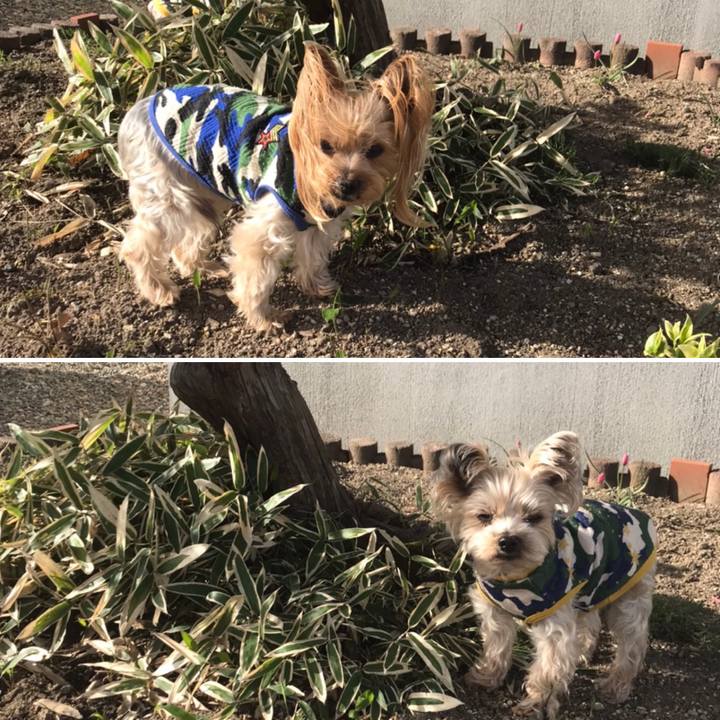 76ae4eca 309c 4f33 b850 7ac82945bbca 1589881993614