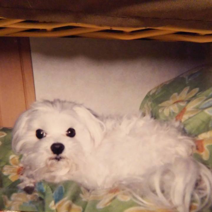 76ae56e8 87dd 42a2 bfb2 a5f0ae2bd290 1540723402242