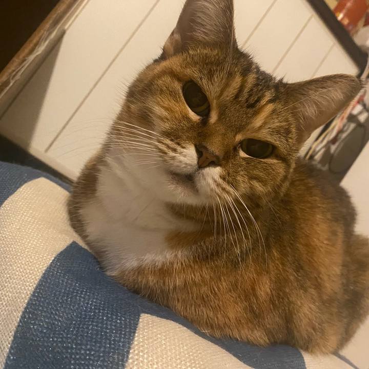 76ae93c1 5f51 4082 9dee 59615b7000c6 1730997566087