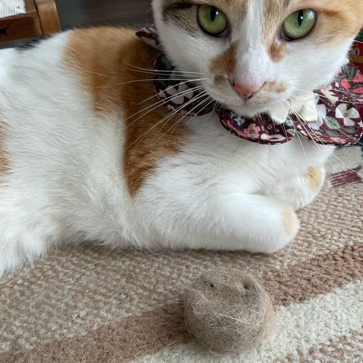 76aeb799 5d0c 4056 a41b af0213d25f4e 1749879394348