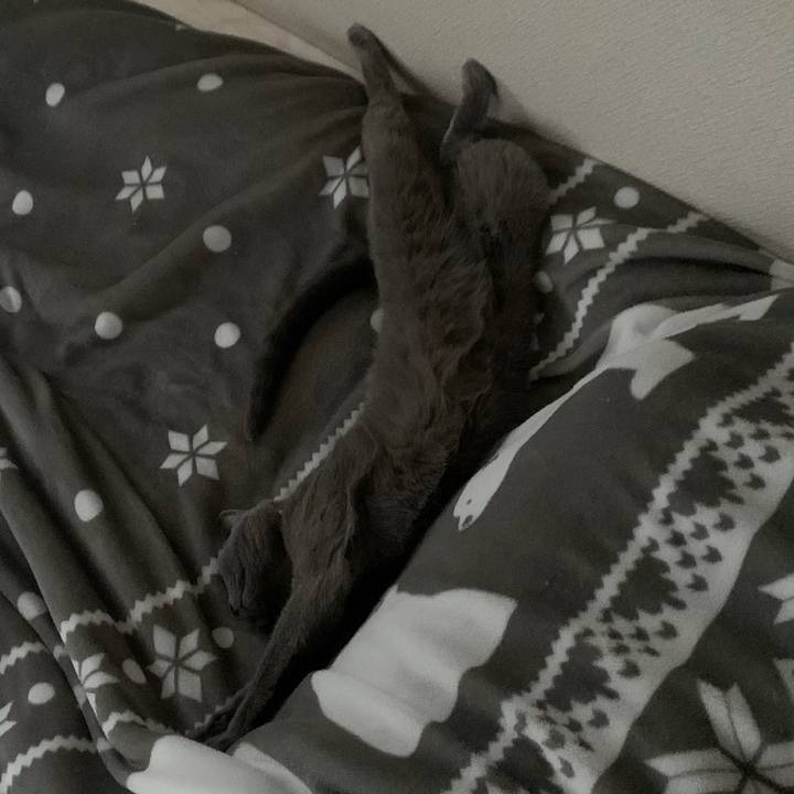 76aebe87 518b 44ae 9271 776e07104fb2 1661849482529