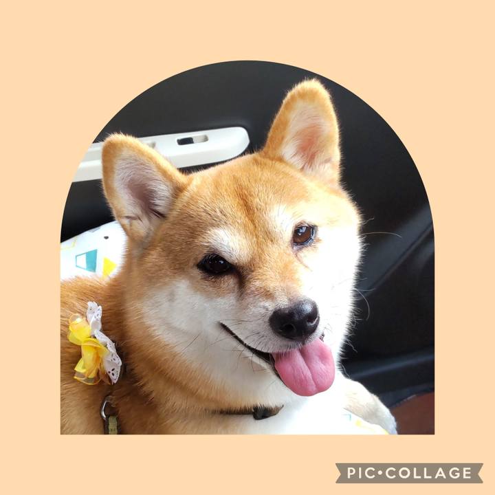 76aee66b 5aaf 40b9 b5ef 59449a207822 1727663632876