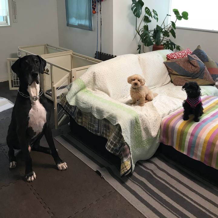 76af03b0 d9ea 4328 adeb 4c1253e21427 1528670206416