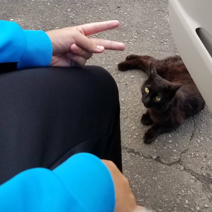 76af239e 7c41 499d 8400 93042aba9528 1688656881773