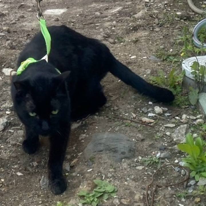 76af3703 80e9 49f3 9ea5 3641c3dfa960 1744960010641