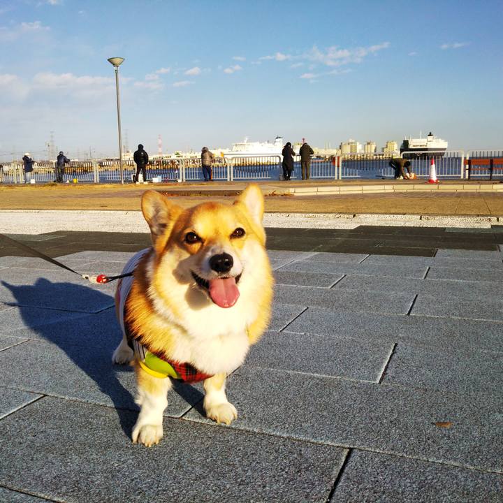 76af6a4f cc1f 480b ac76 0aa31b0ef6d5 1576333396487