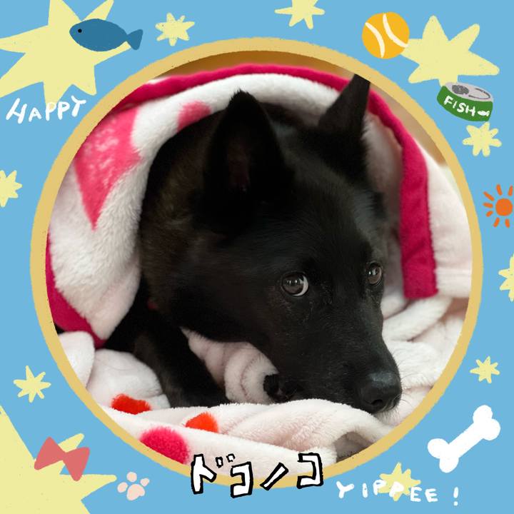 76af7442 ee9b 4f2f b256 ef46a0e17b06 1720833046023