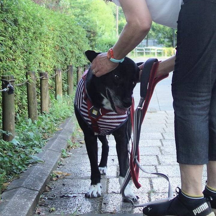 76af904e 57db 4613 b153 cfb5c1e34a5a 1689897680031