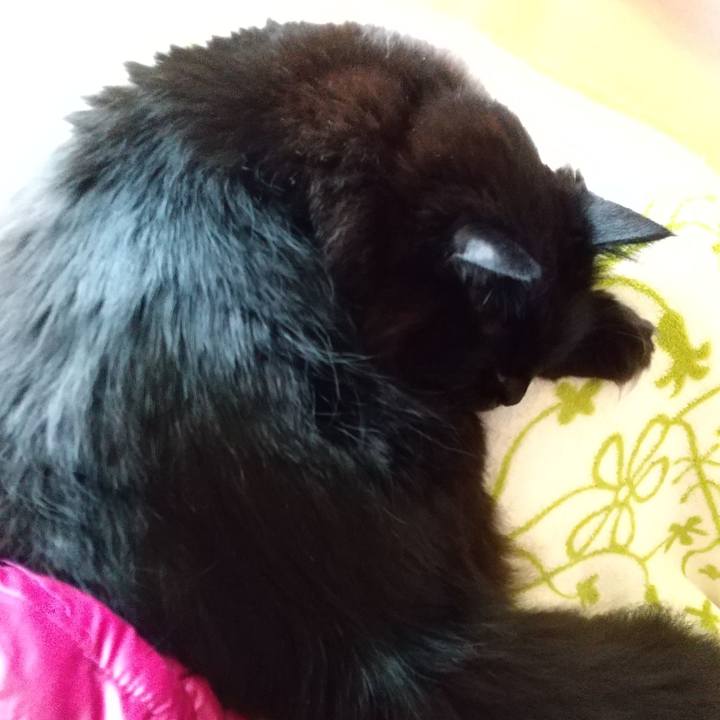 76afa90b 6db7 4d59 a22e aaa77da69c24 1580876605498