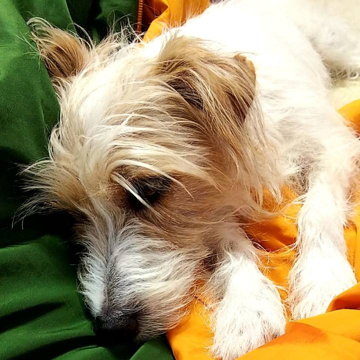 76afb12a 2759 4c82 af35 93e9ab34347b 1528641393522