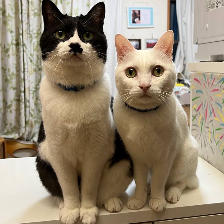 76afb350 757b 4b7b 990e 93b041125e33 1695857367283