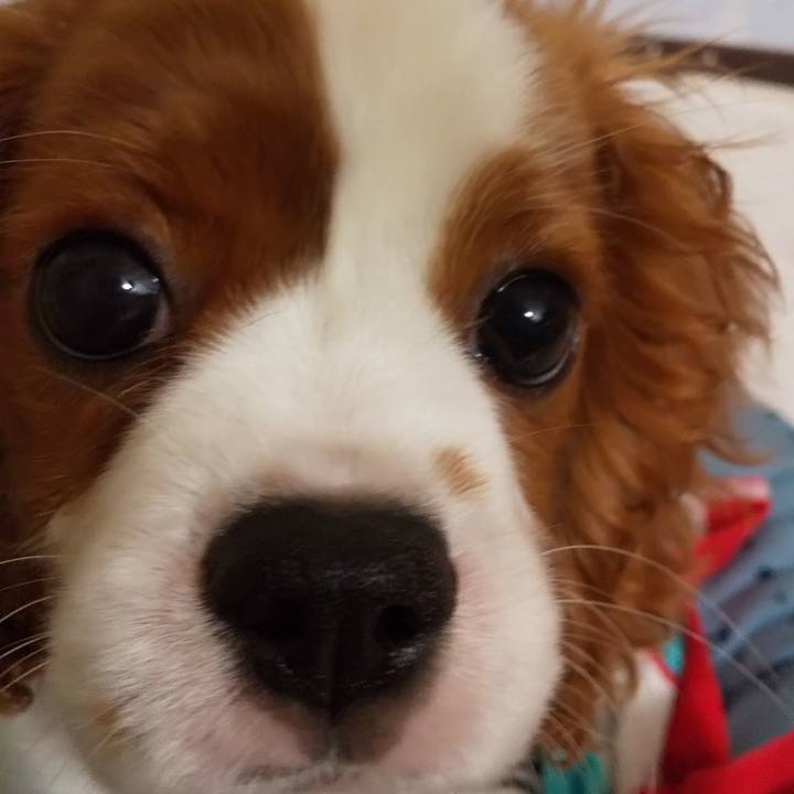 76afb907 e7bc 4833 b3fb 0bfd87f00561 1568388277262