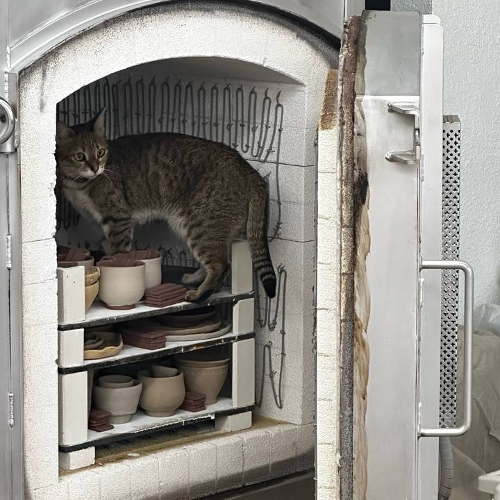 76afbfb8 0418 4337 8dfd 1074a148ebcb 1756510847267