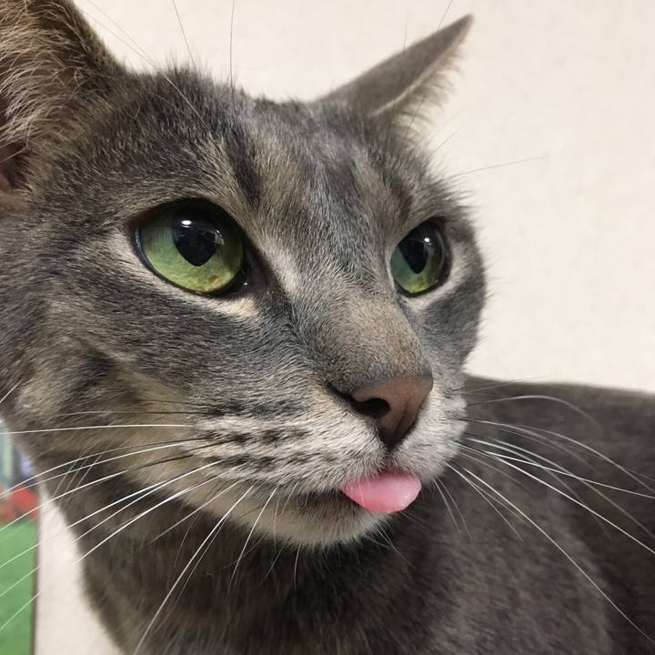 76afd874 0ca5 4f4f a340 9f6f7c3d4123 1559217336022