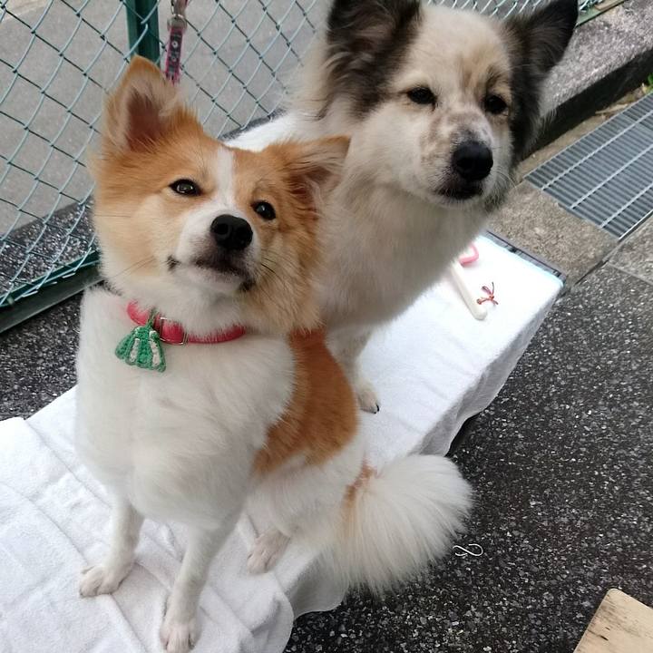 76afe76f 6a98 4e01 a202 decdf9cd2f7d 1547473142113