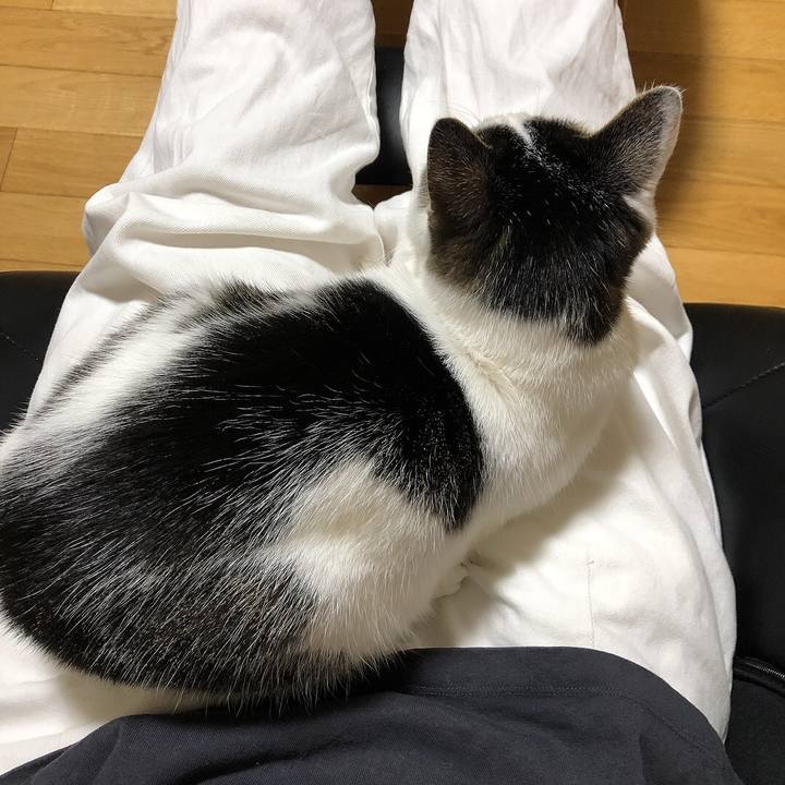 76afeb56 4350 4f48 b82f 560ece4d85c2 1652700232973