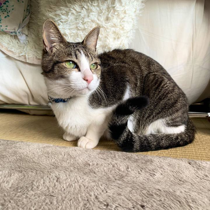 76afede4 4593 465c b51b b8cd65ab3e17 1551178373172