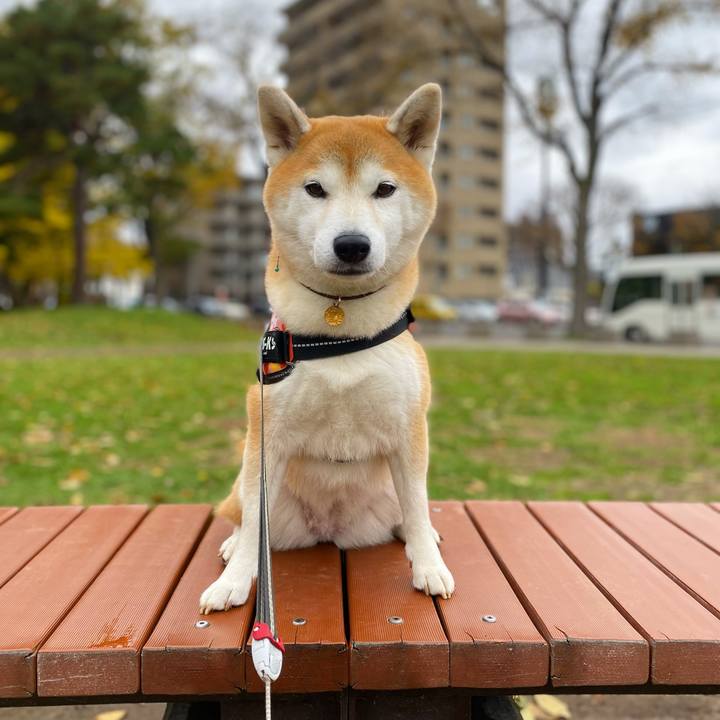 76b00911 4d23 4a5b 9d83 caa570d95e96 1635472383674